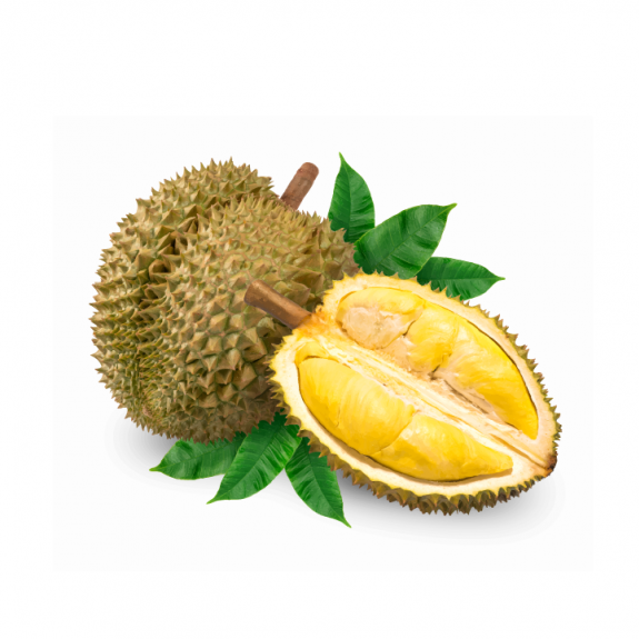 durian101
