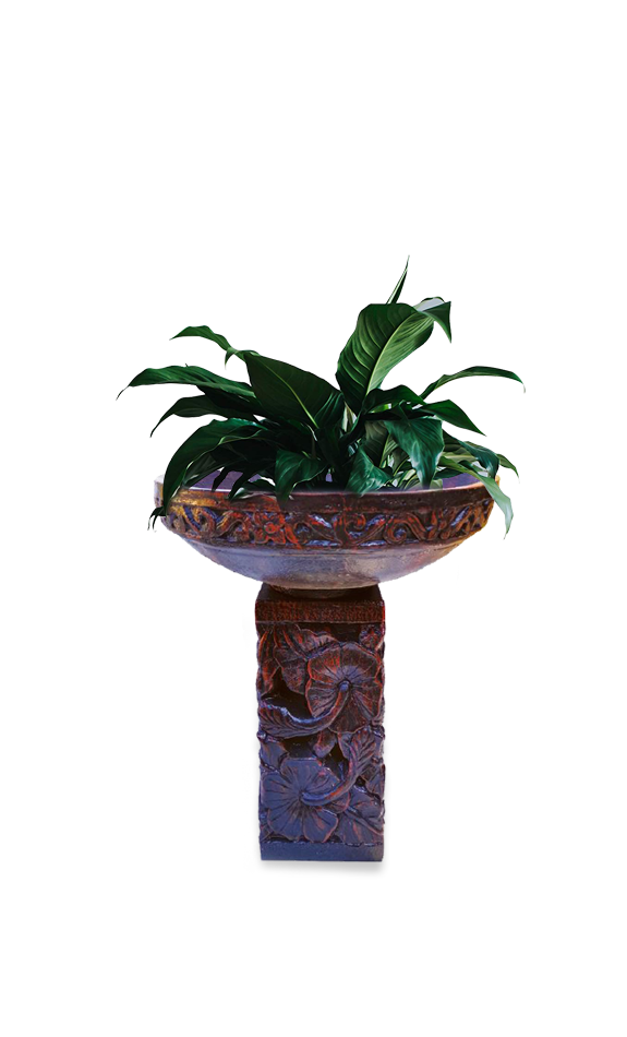 Fountains, Pots & Stands